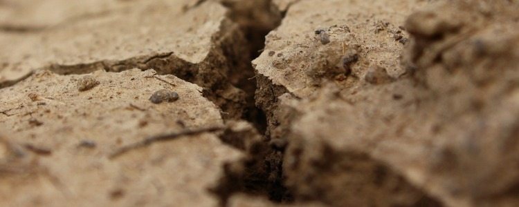 הליכי גירושין